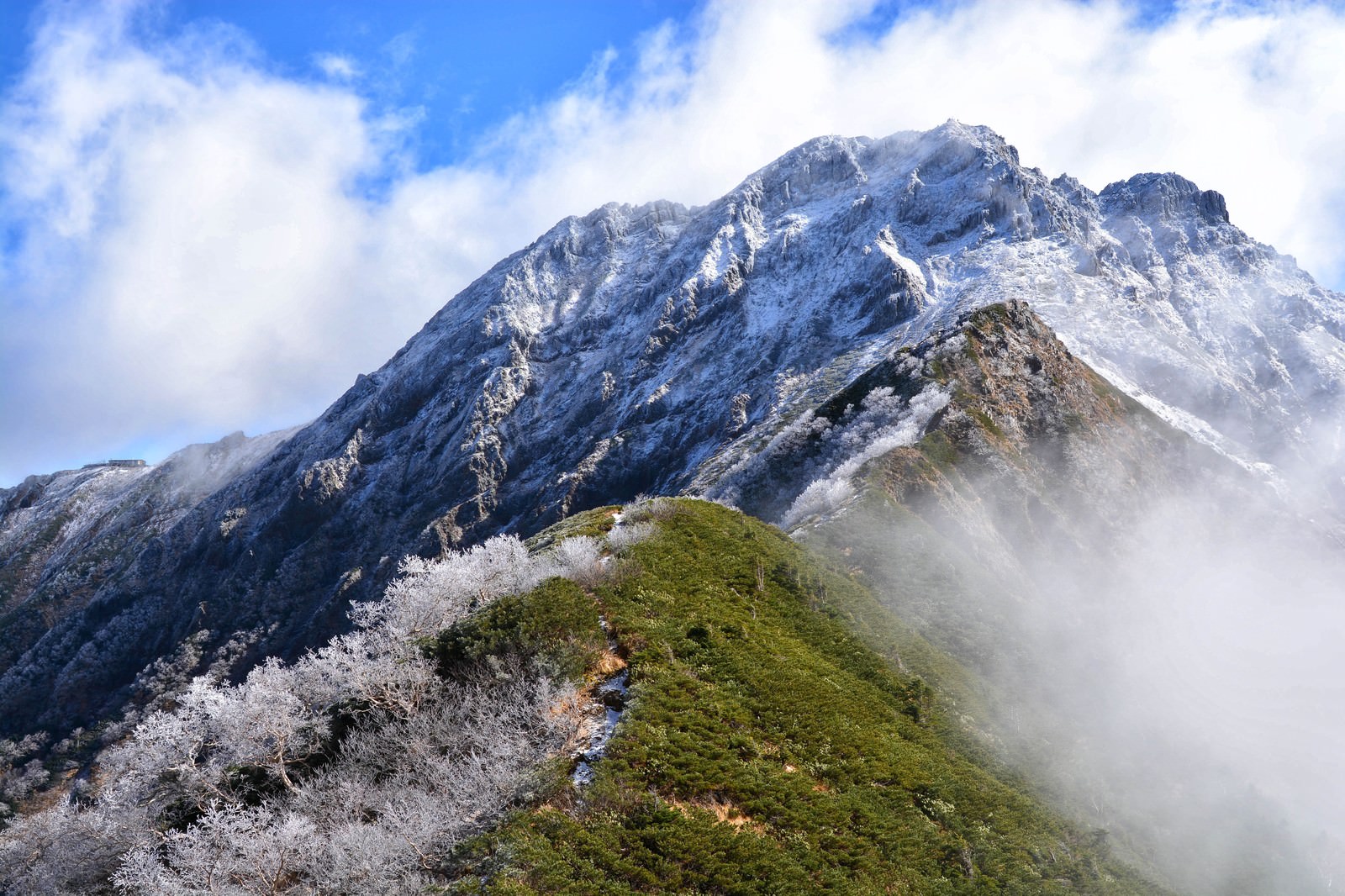 霧氷に覆われた山